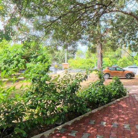 Secret Garden Hotel & Bungalows Çıralı Zewnętrze zdjęcie