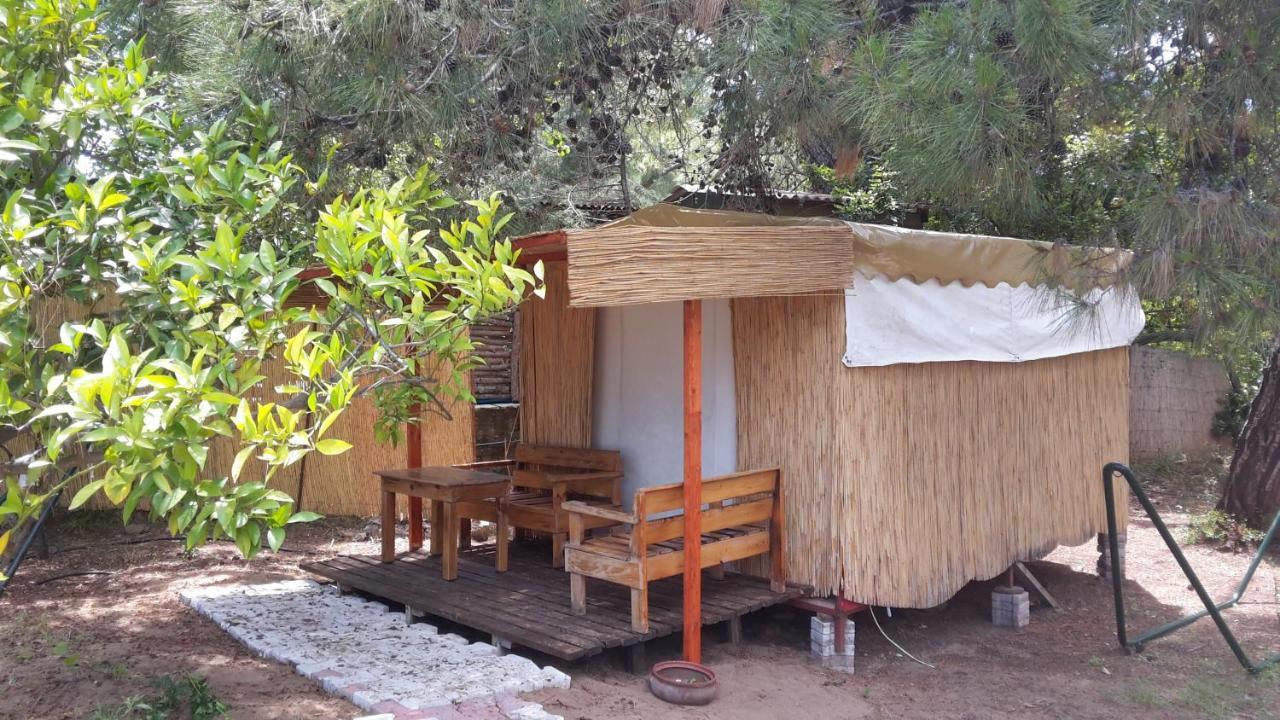 Secret Garden Hotel & Bungalows Çıralı Zewnętrze zdjęcie
