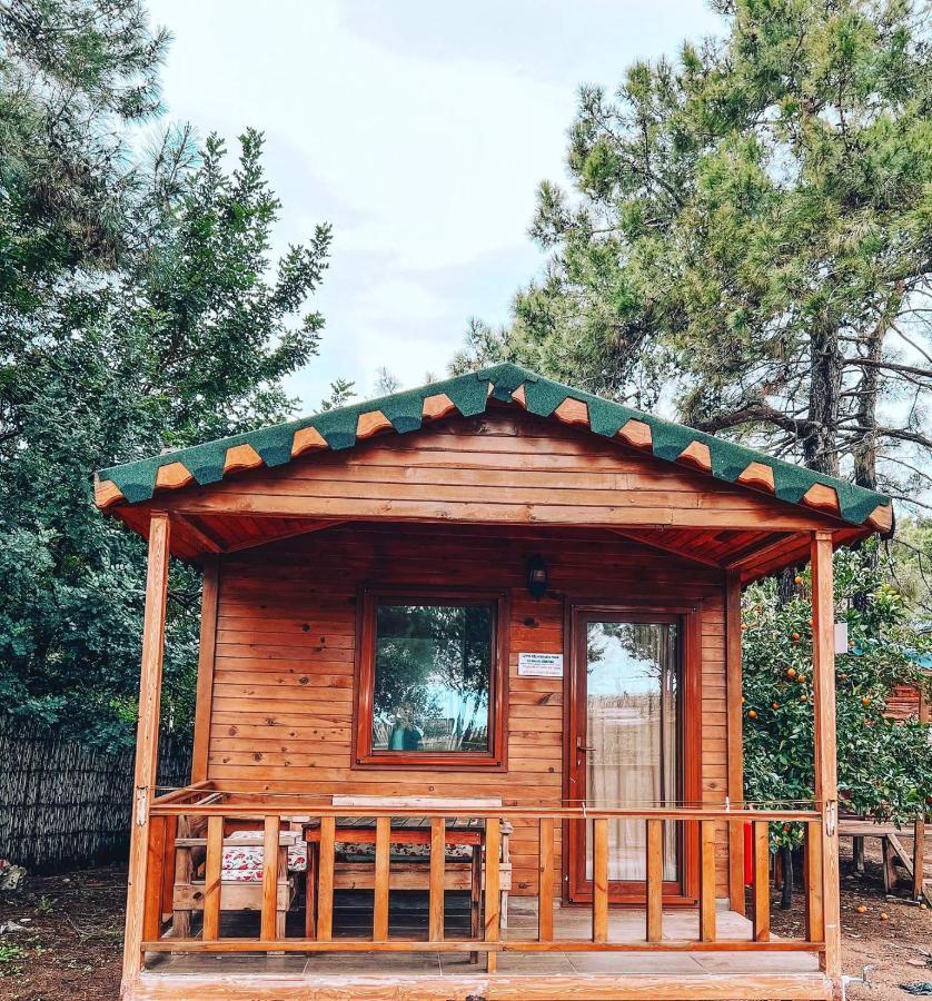 Secret Garden Hotel & Bungalows Çıralı Zewnętrze zdjęcie