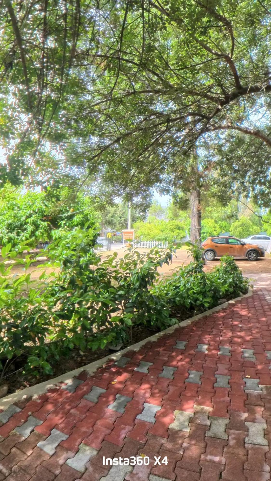 Secret Garden Hotel & Bungalows Çıralı Zewnętrze zdjęcie