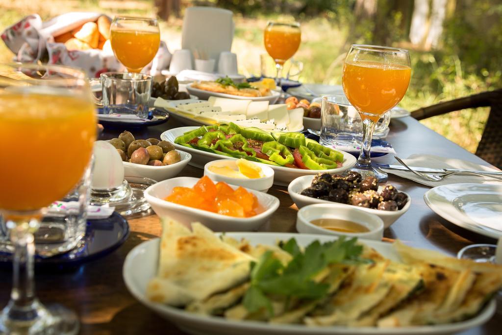 Secret Garden Hotel & Bungalows Çıralı Zewnętrze zdjęcie