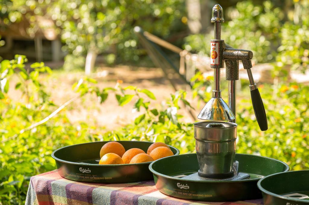 Secret Garden Hotel & Bungalows Çıralı Zewnętrze zdjęcie