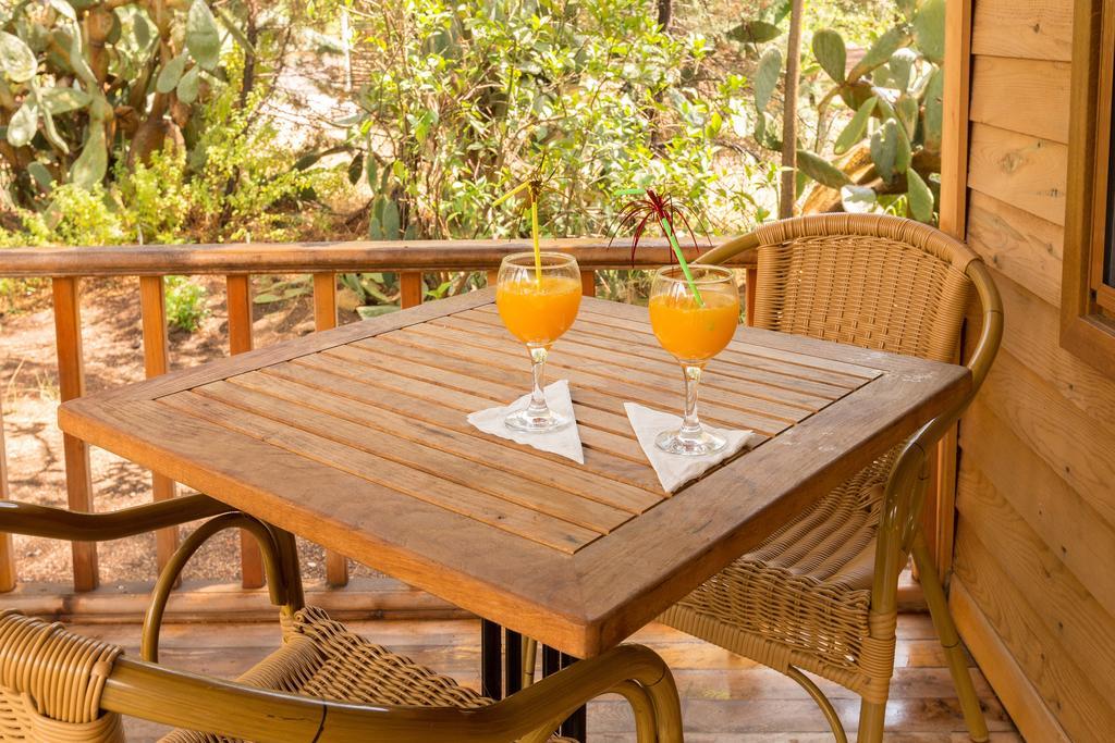 Secret Garden Hotel & Bungalows Çıralı Zewnętrze zdjęcie