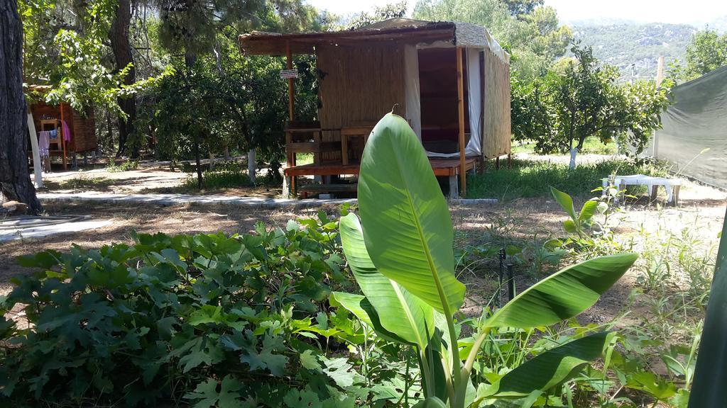 Secret Garden Hotel & Bungalows Çıralı Zewnętrze zdjęcie