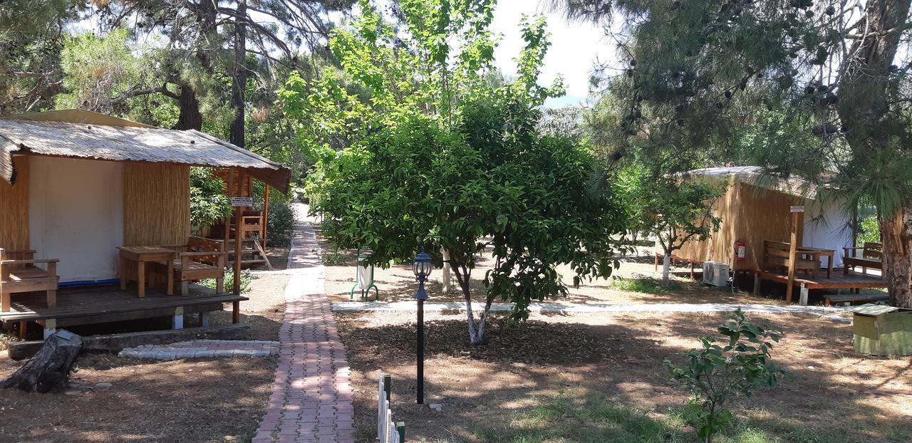Secret Garden Hotel & Bungalows Çıralı Zewnętrze zdjęcie