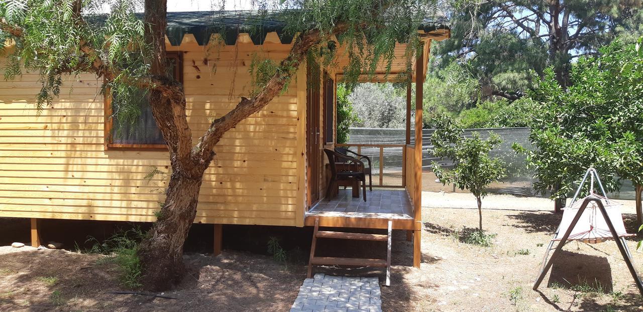 Secret Garden Hotel & Bungalows Çıralı Zewnętrze zdjęcie