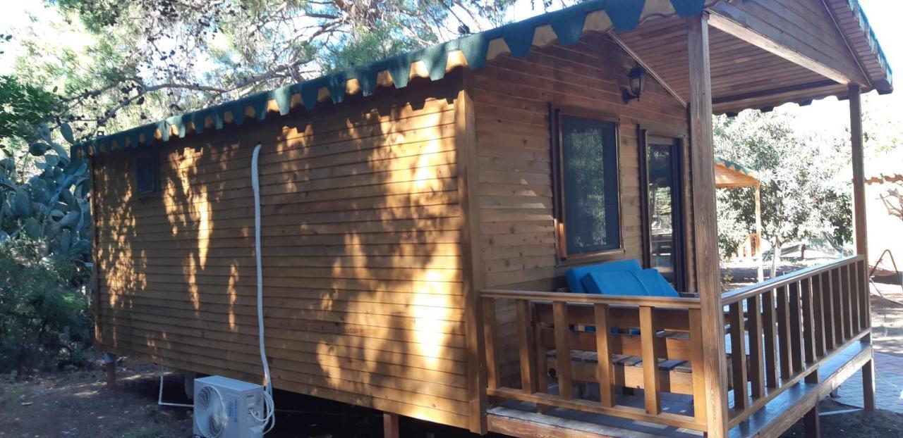 Secret Garden Hotel & Bungalows Çıralı Zewnętrze zdjęcie
